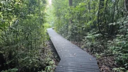 Lower Peirce Reservoir Svg+xml,%3Csvg%20xmlns%3D%22http%3A%2F%2Fwww.w3