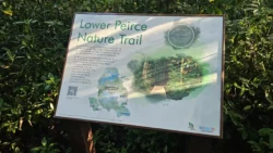 Lower Peirce Reservoir Svg+xml,%3Csvg%20xmlns%3D%22http%3A%2F%2Fwww.w3