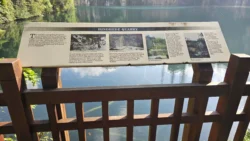 Bukit Timah Nature Reserve Svg+xml,%3Csvg%20xmlns%3D%22http%3A%2F%2Fwww.w3