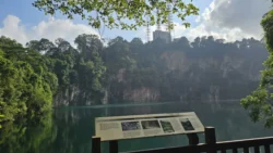 Bukit Timah Nature Reserve Svg+xml,%3Csvg%20xmlns%3D%22http%3A%2F%2Fwww.w3