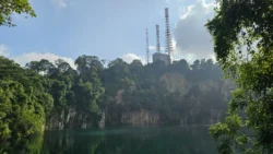 Bukit Timah Nature Reserve Svg+xml,%3Csvg%20xmlns%3D%22http%3A%2F%2Fwww.w3