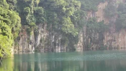 Bukit Timah Nature Reserve Svg+xml,%3Csvg%20xmlns%3D%22http%3A%2F%2Fwww.w3