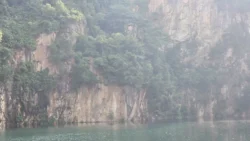 Bukit Timah Nature Reserve Svg+xml,%3Csvg%20xmlns%3D%22http%3A%2F%2Fwww.w3