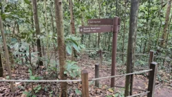 Bukit Timah Nature Reserve Svg+xml,%3Csvg%20xmlns%3D%22http%3A%2F%2Fwww.w3