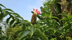 HortPark Svg+xml,%3Csvg%20xmlns%3D%22http%3A%2F%2Fwww.w3