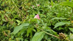 HortPark Svg+xml,%3Csvg%20xmlns%3D%22http%3A%2F%2Fwww.w3