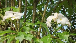 HortPark Svg+xml,%3Csvg%20xmlns%3D%22http%3A%2F%2Fwww.w3