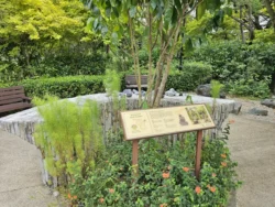 Bedok Reservoir Park Svg+xml,%3Csvg%20xmlns%3D%22http%3A%2F%2Fwww.w3