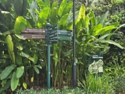 Singapore Botanic Gardens Svg+xml,%3Csvg%20xmlns%3D%22http%3A%2F%2Fwww.w3