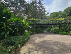 Singapore Botanic Gardens Svg+xml,%3Csvg%20xmlns%3D%22http%3A%2F%2Fwww.w3