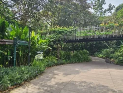 Singapore Botanic Gardens Svg+xml,%3Csvg%20xmlns%3D%22http%3A%2F%2Fwww.w3