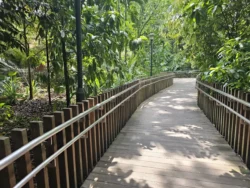 Singapore Botanic Gardens Svg+xml,%3Csvg%20xmlns%3D%22http%3A%2F%2Fwww.w3