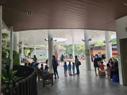 Singapore Botanic Gardens Svg+xml,%3Csvg%20xmlns%3D%22http%3A%2F%2Fwww.w3