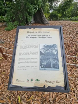 Singapore Botanic Gardens Svg+xml,%3Csvg%20xmlns%3D%22http%3A%2F%2Fwww.w3