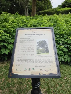 Singapore Botanic Gardens Svg+xml,%3Csvg%20xmlns%3D%22http%3A%2F%2Fwww.w3