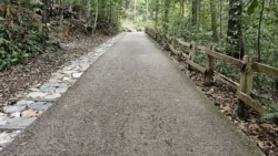 Bukit Timah Nature Reserve Svg+xml,%3Csvg%20xmlns%3D%22http%3A%2F%2Fwww.w3