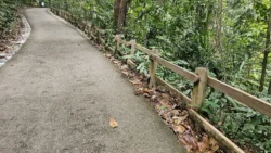 Bukit Timah Nature Reserve Svg+xml,%3Csvg%20xmlns%3D%22http%3A%2F%2Fwww.w3