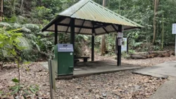 Bukit Timah Nature Reserve Svg+xml,%3Csvg%20xmlns%3D%22http%3A%2F%2Fwww.w3