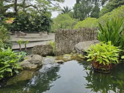 Singapore Botanic Gardens Svg+xml,%3Csvg%20xmlns%3D%22http%3A%2F%2Fwww.w3