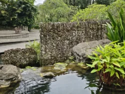 Singapore Botanic Gardens Svg+xml,%3Csvg%20xmlns%3D%22http%3A%2F%2Fwww.w3