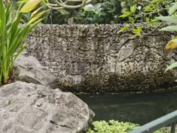 Singapore Botanic Gardens Svg+xml,%3Csvg%20xmlns%3D%22http%3A%2F%2Fwww.w3