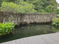 Singapore Botanic Gardens Svg+xml,%3Csvg%20xmlns%3D%22http%3A%2F%2Fwww.w3