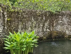 Singapore Botanic Gardens Svg+xml,%3Csvg%20xmlns%3D%22http%3A%2F%2Fwww.w3