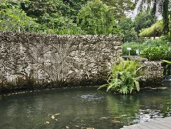 Singapore Botanic Gardens Svg+xml,%3Csvg%20xmlns%3D%22http%3A%2F%2Fwww.w3