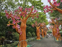 Mid-Autumn Festival 2023 Svg+xml,%3Csvg%20xmlns%3D%22http%3A%2F%2Fwww.w3