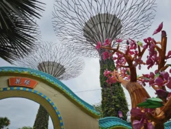 Mid-Autumn Festival 2023 Svg+xml,%3Csvg%20xmlns%3D%22http%3A%2F%2Fwww.w3