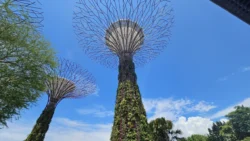 Mid-Autumn Festival 2024 Svg+xml,%3Csvg%20xmlns%3D%22http%3A%2F%2Fwww.w3