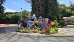 Mid-Autumn Festival 2024 Svg+xml,%3Csvg%20xmlns%3D%22http%3A%2F%2Fwww.w3