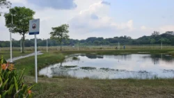 Lor Halus Wetland Svg+xml,%3Csvg%20xmlns%3D%22http%3A%2F%2Fwww.w3