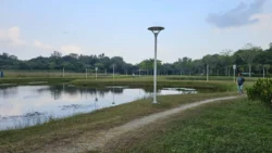 Lor Halus Wetland Svg+xml,%3Csvg%20xmlns%3D%22http%3A%2F%2Fwww.w3