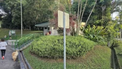 Lower Peirce Reservoir Svg+xml,%3Csvg%20xmlns%3D%22http%3A%2F%2Fwww.w3