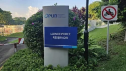 Lower Peirce Reservoir Svg+xml,%3Csvg%20xmlns%3D%22http%3A%2F%2Fwww.w3