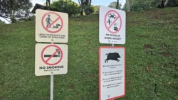 Lower Peirce Reservoir Svg+xml,%3Csvg%20xmlns%3D%22http%3A%2F%2Fwww.w3