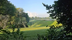 Lower Peirce Reservoir Svg+xml,%3Csvg%20xmlns%3D%22http%3A%2F%2Fwww.w3