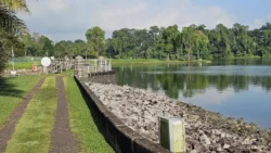 Lower Peirce Reservoir Svg+xml,%3Csvg%20xmlns%3D%22http%3A%2F%2Fwww.w3