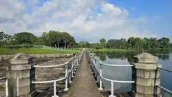 Lower Peirce Reservoir Svg+xml,%3Csvg%20xmlns%3D%22http%3A%2F%2Fwww.w3