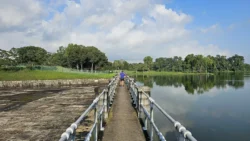 Lower Peirce Reservoir Svg+xml,%3Csvg%20xmlns%3D%22http%3A%2F%2Fwww.w3