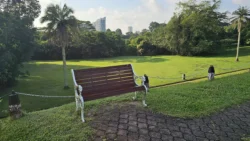 Lower Peirce Reservoir Svg+xml,%3Csvg%20xmlns%3D%22http%3A%2F%2Fwww.w3