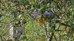 Lower Peirce Reservoir Svg+xml,%3Csvg%20xmlns%3D%22http%3A%2F%2Fwww.w3