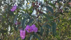 Lower Peirce Reservoir Svg+xml,%3Csvg%20xmlns%3D%22http%3A%2F%2Fwww.w3