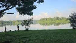 Lower Peirce Reservoir Svg+xml,%3Csvg%20xmlns%3D%22http%3A%2F%2Fwww.w3