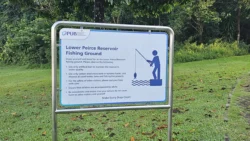 Lower Peirce Reservoir Svg+xml,%3Csvg%20xmlns%3D%22http%3A%2F%2Fwww.w3