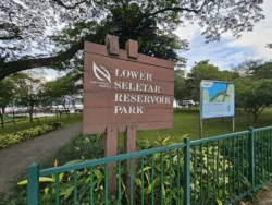 Lower Seletar Reservoir Park Svg+xml,%3Csvg%20xmlns%3D%22http%3A%2F%2Fwww.w3