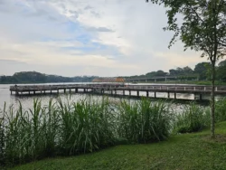 Lower Seletar Reservoir Park Svg+xml,%3Csvg%20xmlns%3D%22http%3A%2F%2Fwww.w3