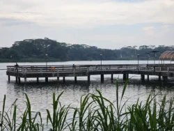 Lower Seletar Reservoir Park Svg+xml,%3Csvg%20xmlns%3D%22http%3A%2F%2Fwww.w3