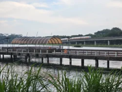 Lower Seletar Reservoir Park Svg+xml,%3Csvg%20xmlns%3D%22http%3A%2F%2Fwww.w3